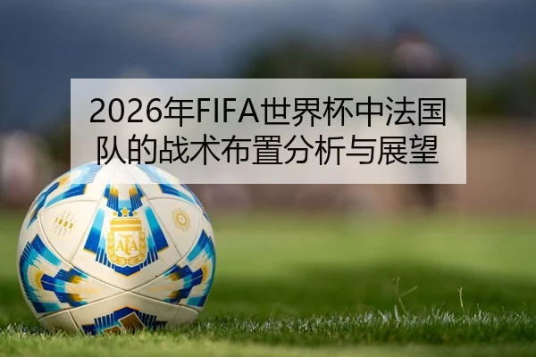 2026年FIFA世界杯中法国队的战术布置分析与展望