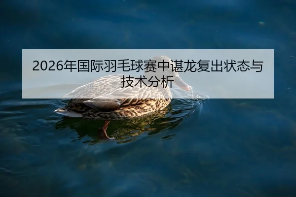 2026年国际羽毛球赛中谌龙复出状态与技术分析