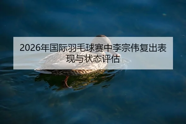 2026年国际羽毛球赛中李宗伟复出表现与状态评估