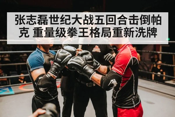 张志磊世纪大战五回合击倒帕克 重量级拳王格局重新洗牌