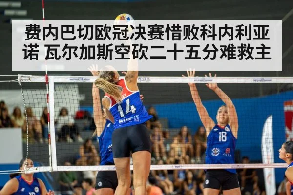 费内巴切欧冠决赛惜败科内利亚诺 瓦尔加斯空砍二十五分难救主